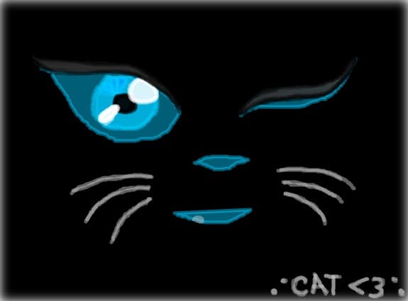 Cat Lover