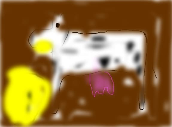 vaca