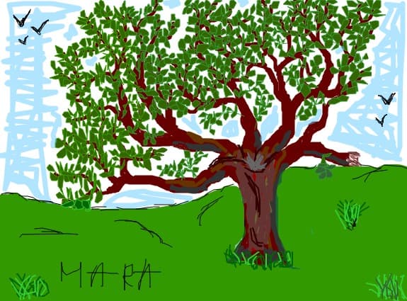 Desen 834 modificat:gjrgf