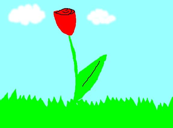 o floare