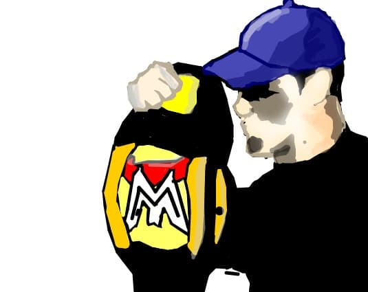 johnn cena the wwe champion