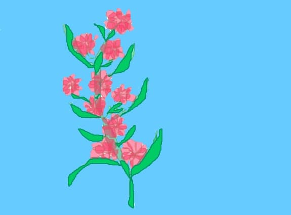 floricica