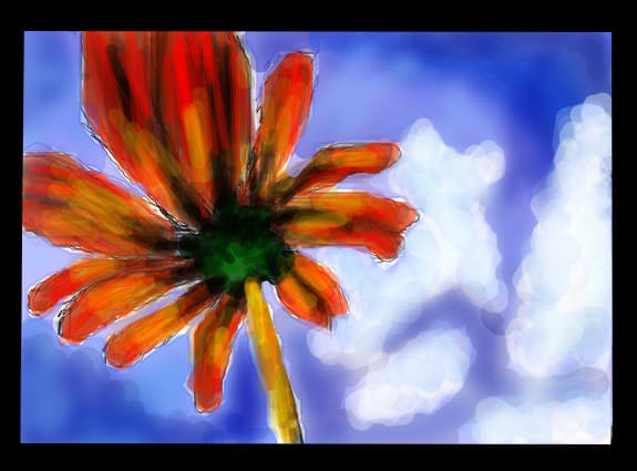 ...flower of holiday...