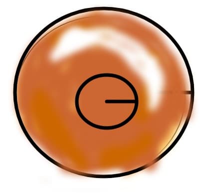 Gogoasha ^^"