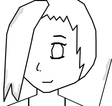 schita