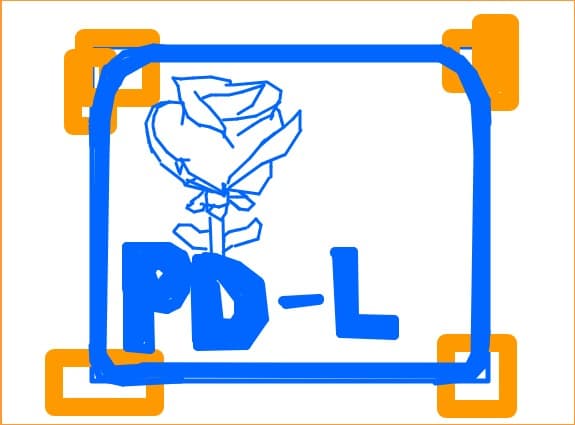 hai PDL