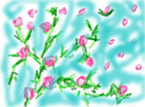 afara