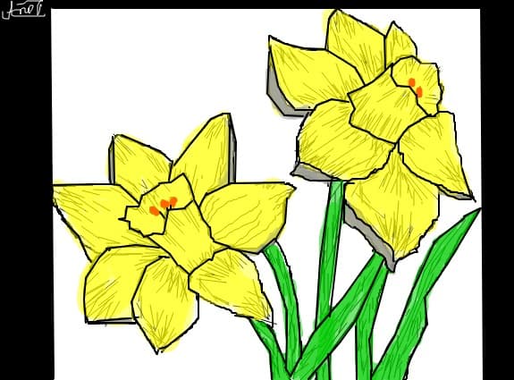 flori