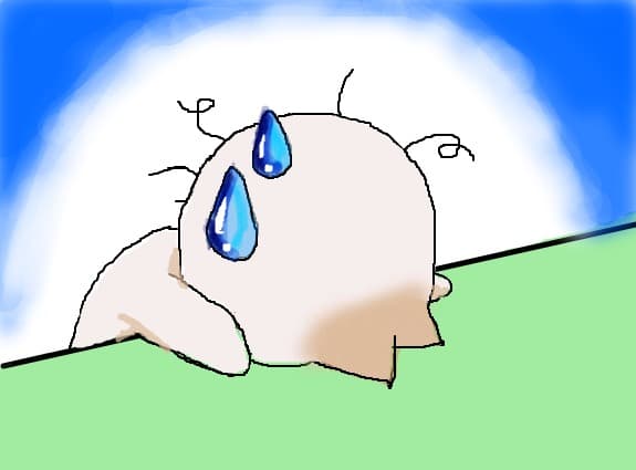 onion saracutul