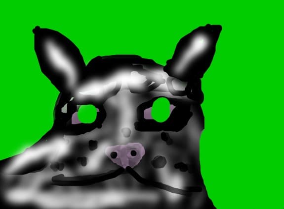 o felina