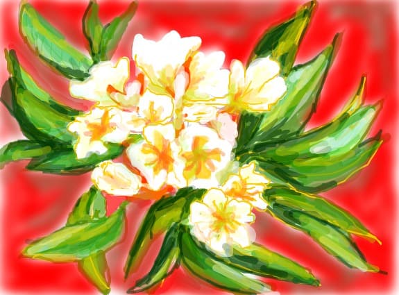 julietta allemana