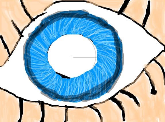 eye