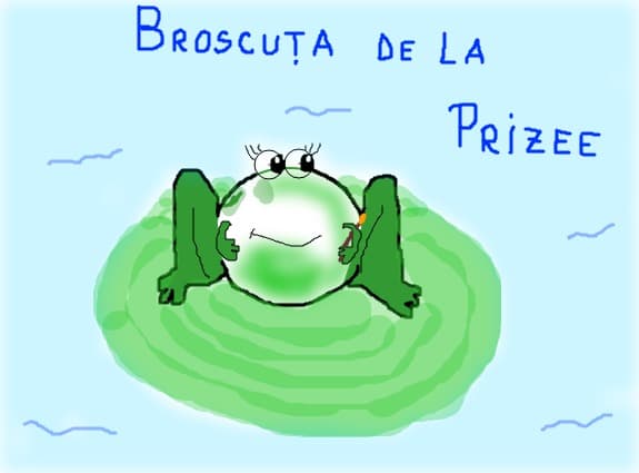 bolo oaca