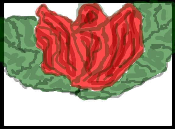 un trandafir