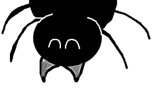 MDA