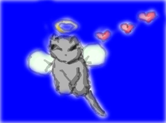 kiddo_love