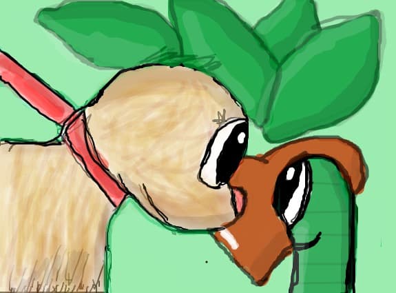 bammby