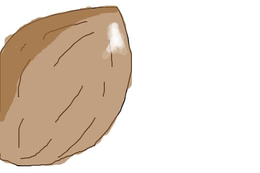 boncorogel