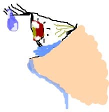 hyaku makuro
