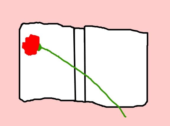d3ni