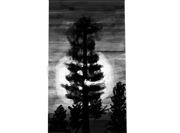 ds33