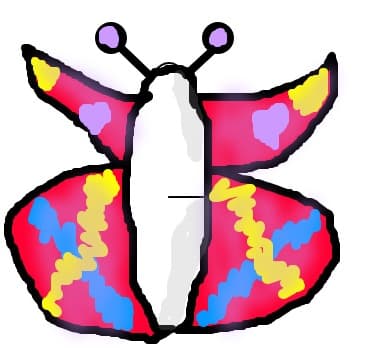butterfly_club