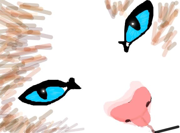 ~*~*Pussycat*~*~
