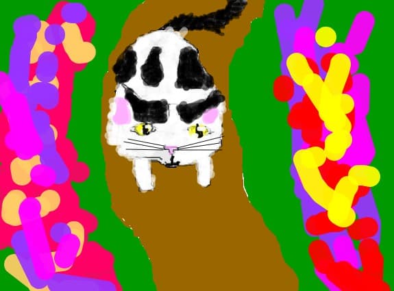 cutekitty