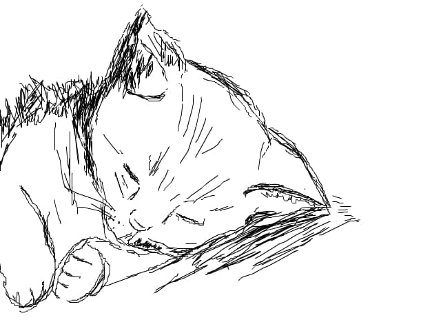 cutecat96