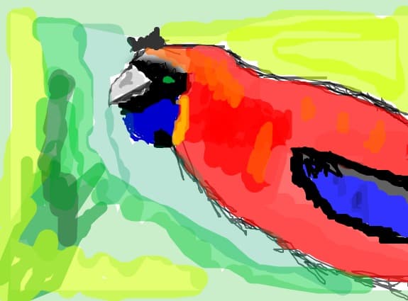 Hobita