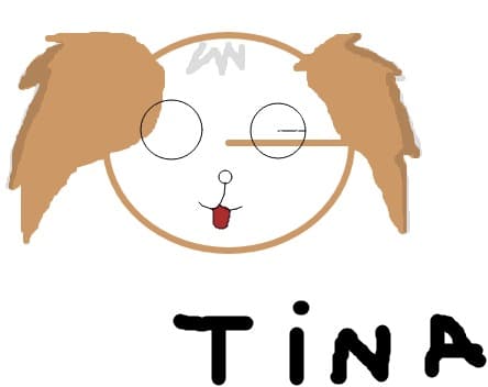 ana.tina