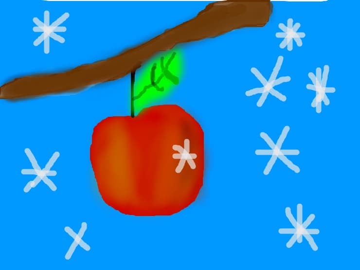 nisasuke