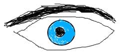 Vizitator