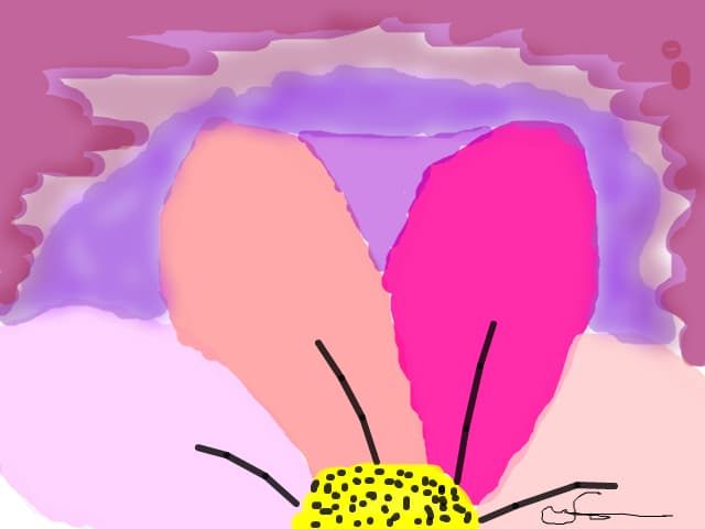 Brunetutza