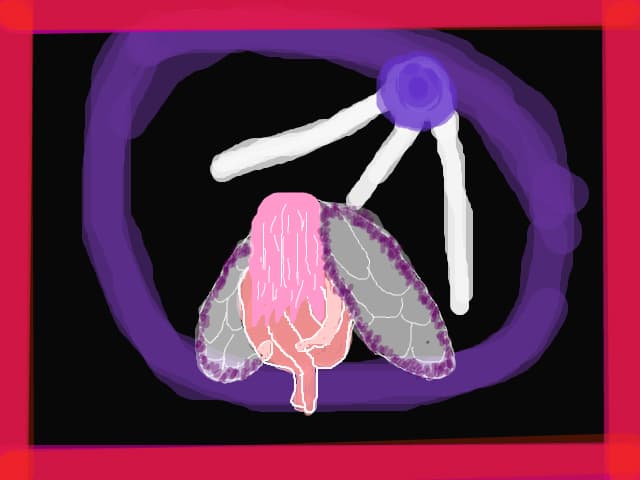 **ChRySsA**