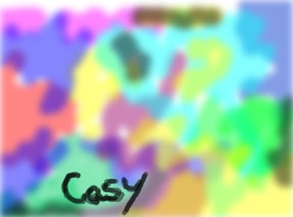 CasSy31