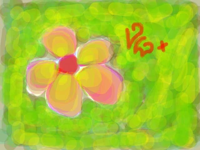 PassionDraw
