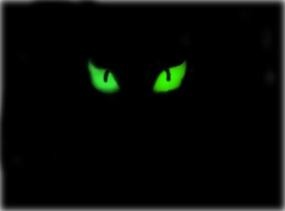 Kitty:3