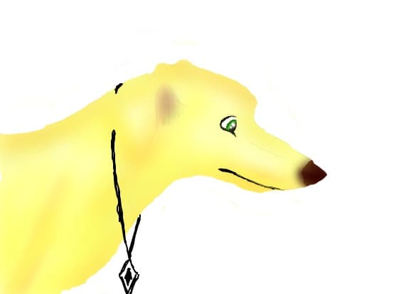 Foxykins