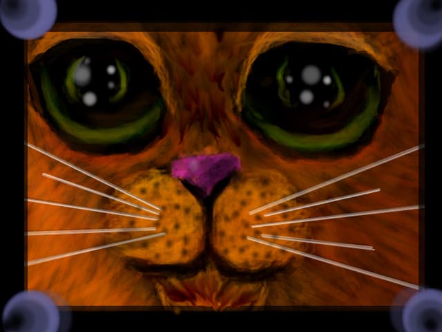 Catutza 97