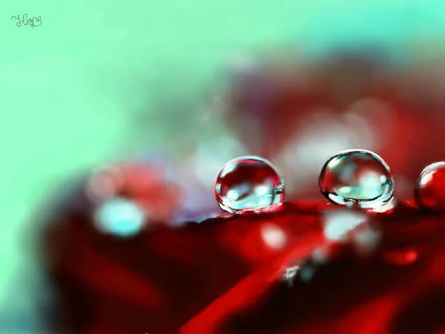 ...Hope...