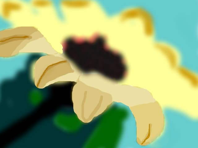 Mirunica2000
