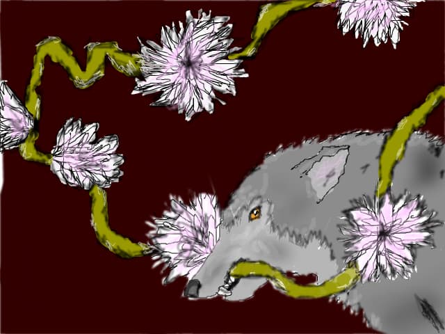 Stefyutza