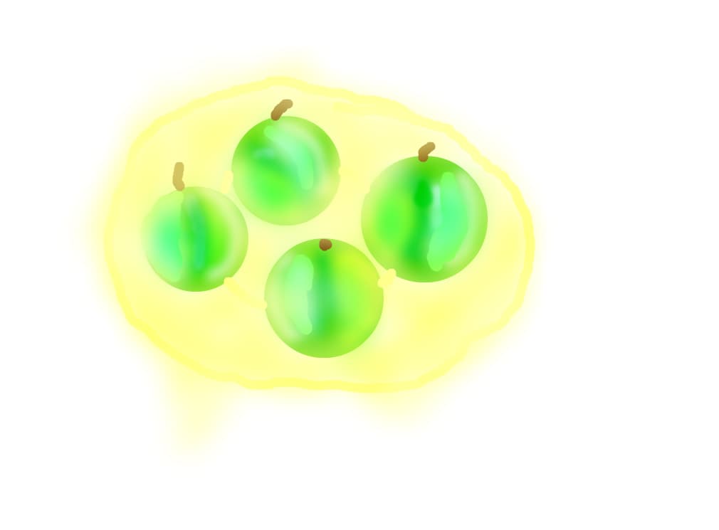 Sugar_vanilla
