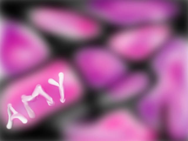 **Amy**