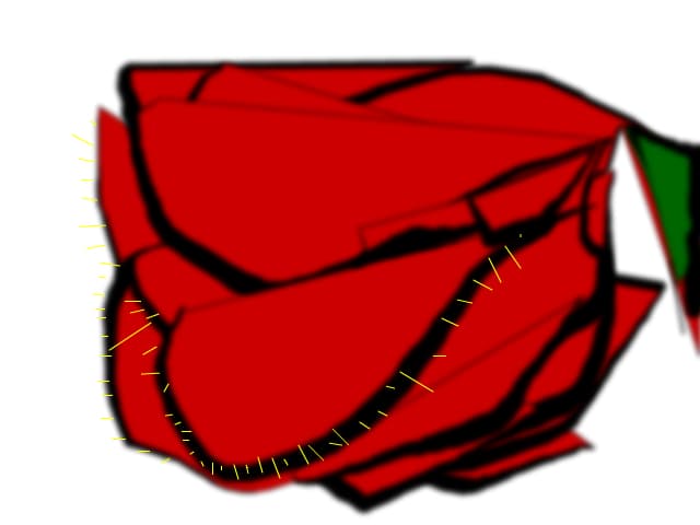 Alexandracool