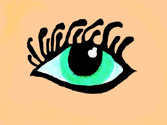 Szsz14