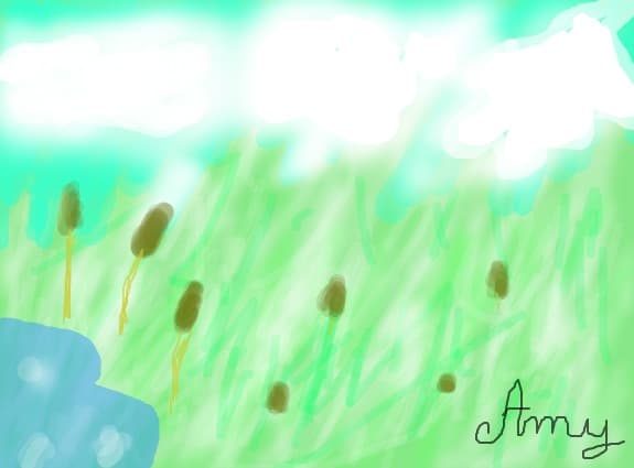 Amy_Mariko