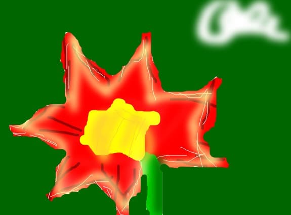 Graure