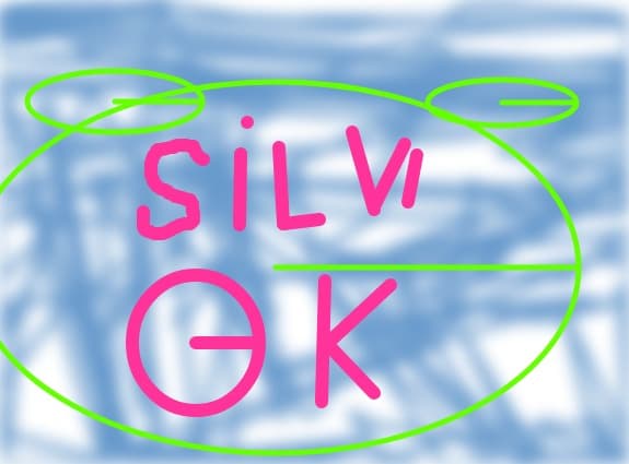 Silvi_Ok